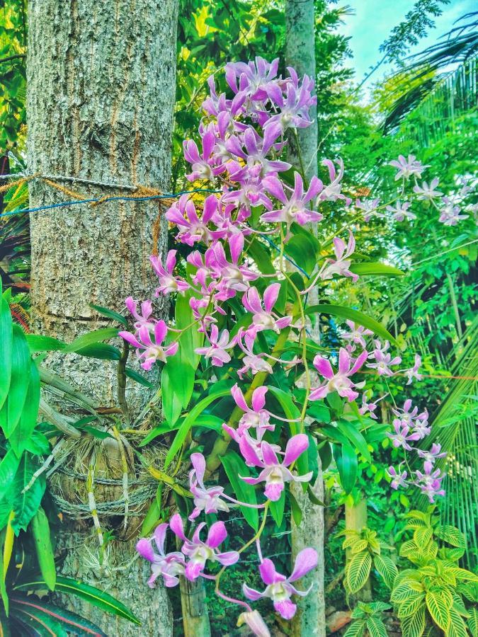 Ameena Homestay Тангалле Екстер'єр фото